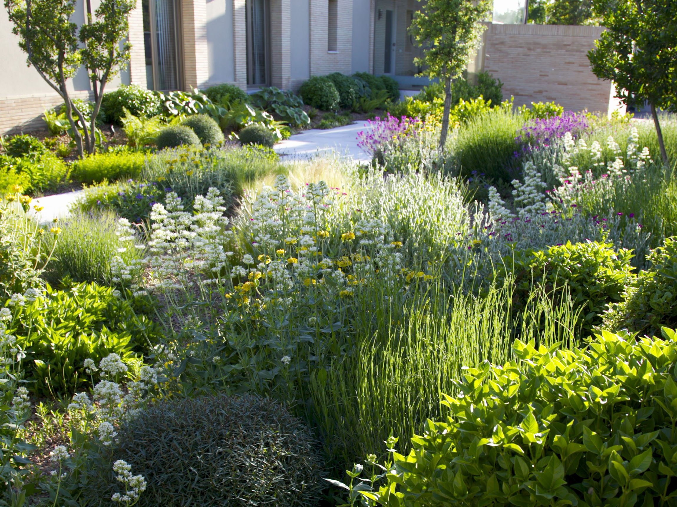 Jardines exuberantes… de bajo riego (1ª parte)